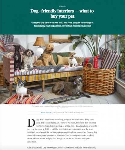 Screenshot of The Times (Sunday Times, Times, Times 2). Featuring Dogs, Dog Bed, Sofa and Other Christopher Howe Pieces.