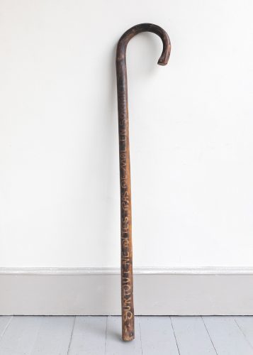 HL6653 Oversize walking stick-15821